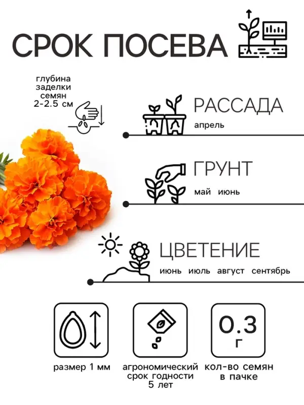 Семена цветов Бархатцы прямостоячие "Оранжевый принц", 0,3 г