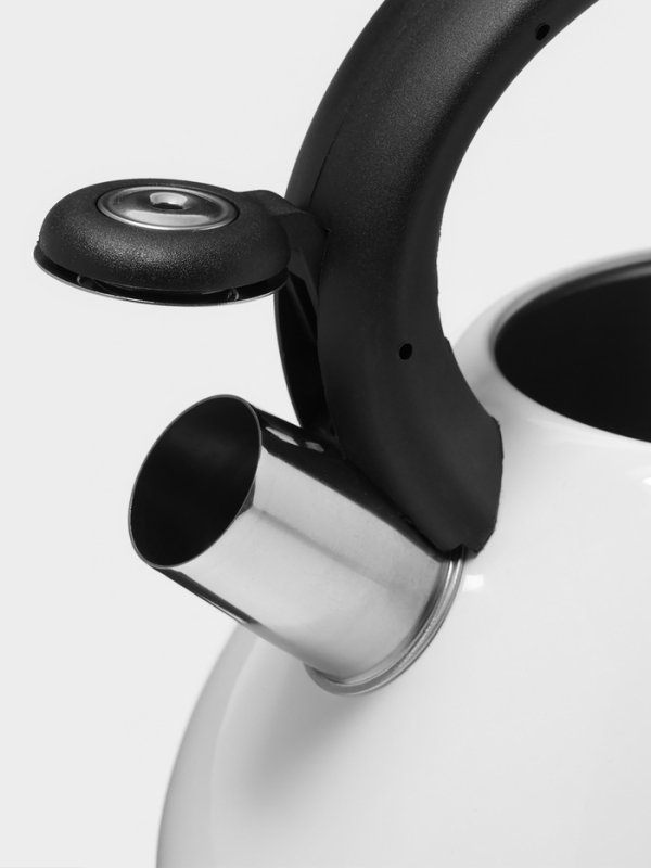 Чайник со свистком из нержавеющей стали Доляна Magic forest, 3 л, с индикатором нагрева, индукция