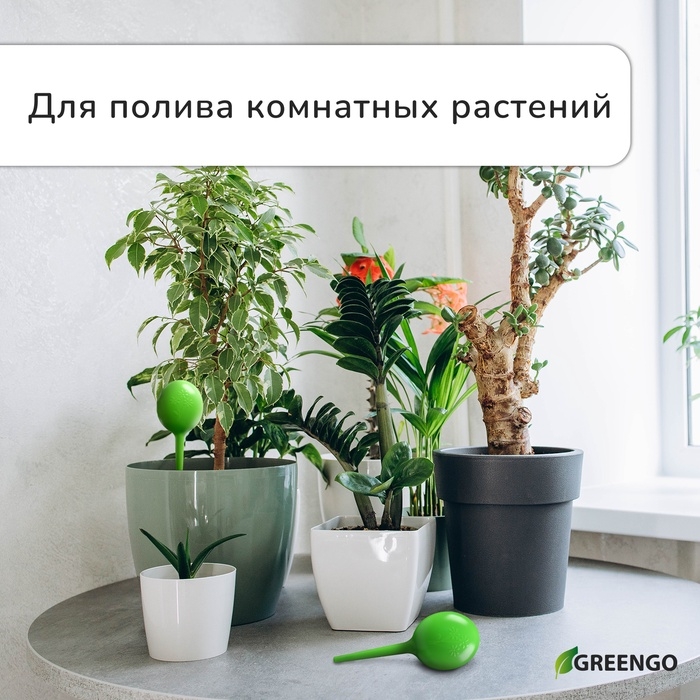 Автополив для комнатных растений, 380 мл, зелёный, 2 шт., пластиковый, высота 28 см, Greengo