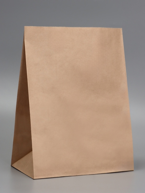 Пакет крафт бумажный фасовочный, прямоугольное дно 26 х 15 х 34 см 70 г/м2, набор 50 шт