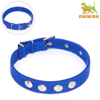 Ошейник клёпаный, 40,5 х 2 см, ОШ 26-34 см, полиэстер, синий Ошейник клёпаный, 40,5 х 2 см, ОШ 26-34 см, полиэстер, синий