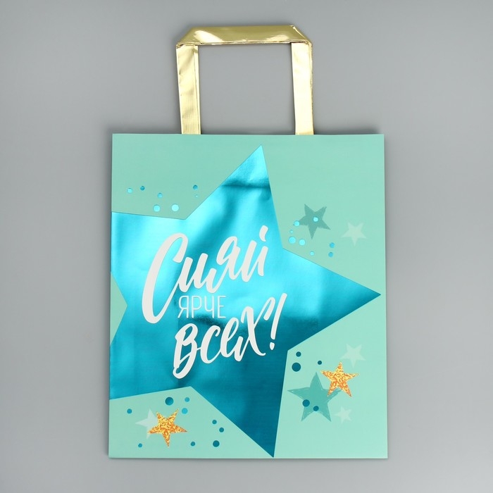 Упаковка, пакет подарочный, &laquo;Сияй&raquo;, ML 23 х 27 х 11.5 см