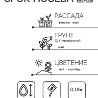 Цветы Колеус Радуга, смесь (зел.дом) (0,05г)