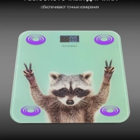 Весы напольные H-BS03589