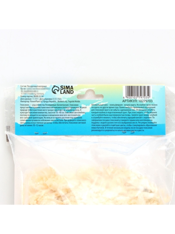 Глоксиния &laquo;Дефианс&raquo; многолетник, комнатный, луковица в пакете с перфорацией, р-р 5/6, 2 шт.