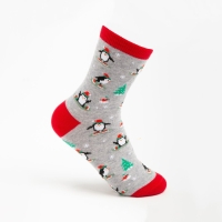 Носки женские &laquo;Пингвин&raquo;, цвет светло-серый, размер 23-25