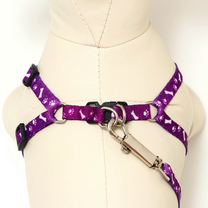 Комплект "Классика", поводок 120 х 1 см, ОГ 28-47 см, фиолетовый