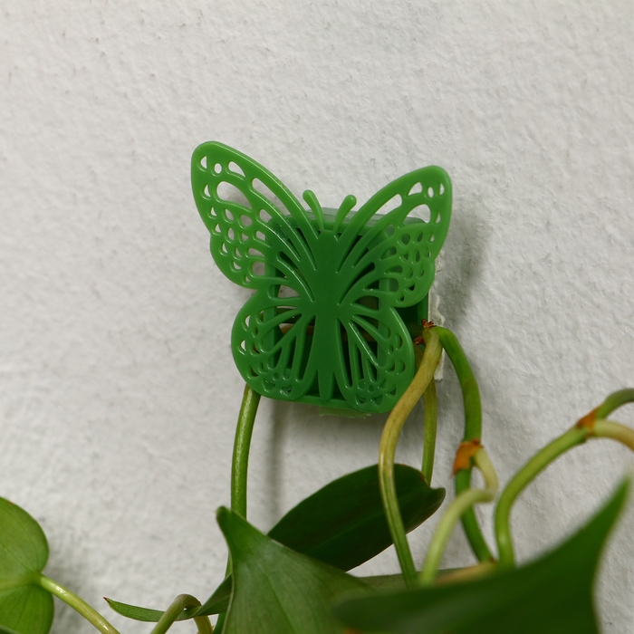 Крепления для вьющихся растений, самоклеящиеся, &laquo;Бабочка&raquo;, набор 10 шт., Greengo