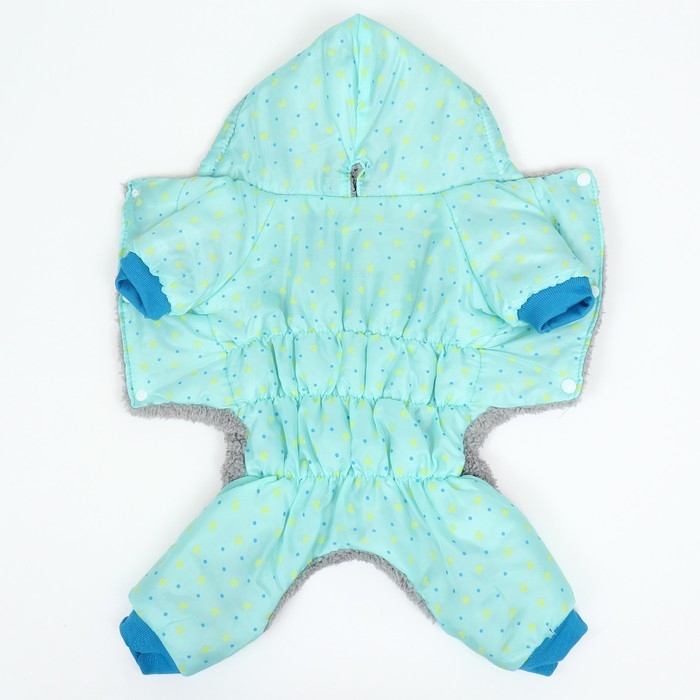 Комбинезон Комбинезон "нежный путь" на меховом подкладе, размер L (ДС 35, ОШ 35, ОГ 45 см), голубой