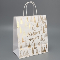 Пакет подарочный новогодний крафтовый &laquo;Новогодняя пора&raquo;, 22 х 25 х 12 см, Новый год