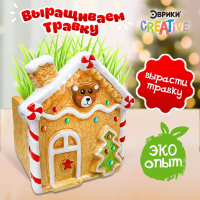 Набор для опытов &laquo;Выращиваем травку: Домик&raquo;, с семенами