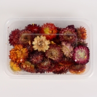 Свеча своими руками. Создание цветных свечей с цветочным декором &laquo;Краски Осени&raquo;, набор для творчества