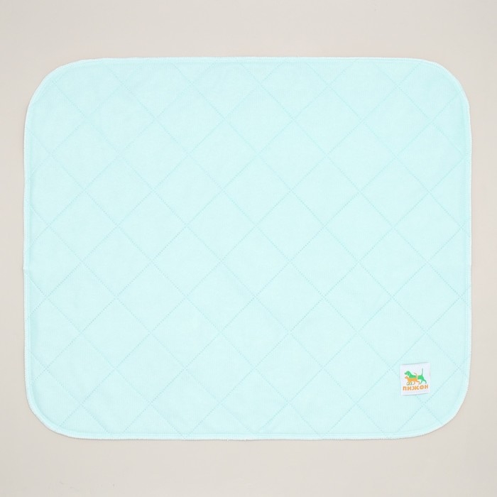 Пелёнка для животных многоразовая впитывающая, 60 х 50 см, мятная Пелёнка для животных многоразовая впитывающая, 60 х 50 см, мятная