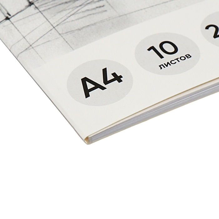 Альбом для черчения А4, 10 листов, блок 200 г/м&sup2;, на клею, ErichKrause, без рамки