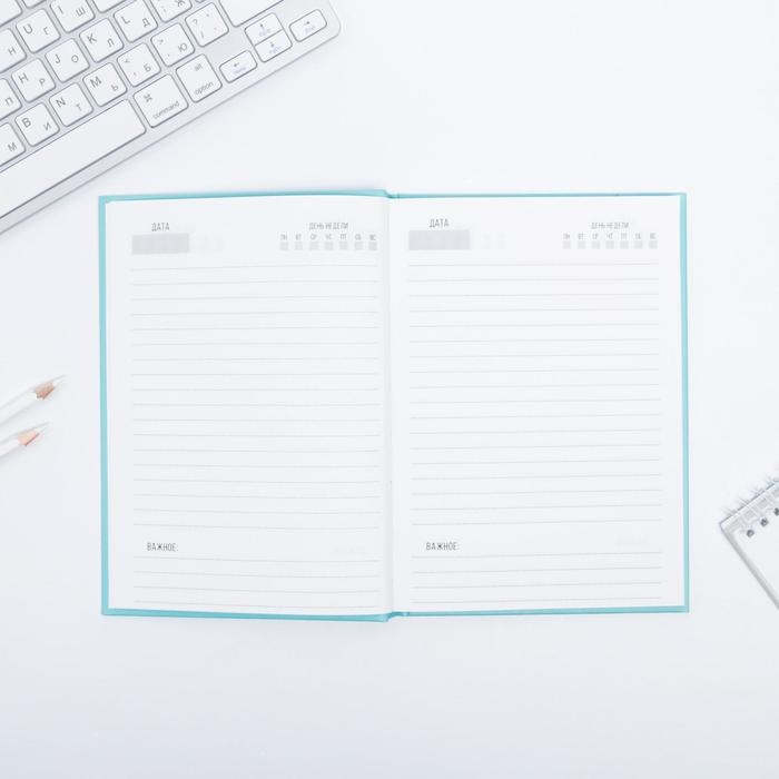 Ежедневник  "Коала"  А5, 80 листов