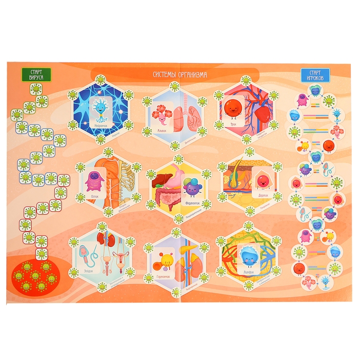 Настольная игра &laquo;Викторина. Как устроен человек?&raquo;, 7-12 лет