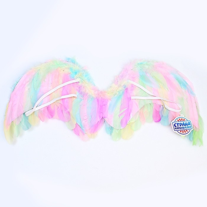 Крылья ангела 52×23 см Крылья ангела 52×23 см