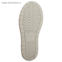 Сапоги женские с надставкой и утеплителем ICE Land Д543-НУ, -60&deg;С, размер 37-38, цвет жемчужный