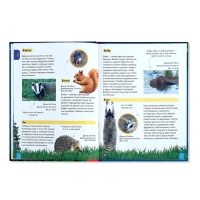 Детская энциклопедия в твёрдом переплёте &laquo;Животные&raquo;, 48 стр.