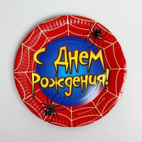 Набор бумажной посуды одноразовый Паутинка&raquo;