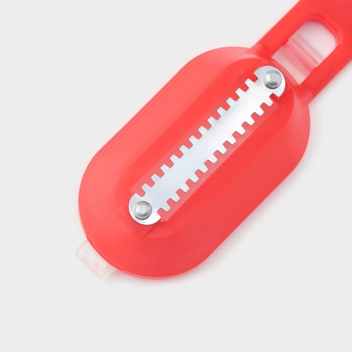 Рыбочистка многофункциональная Доляна &laquo;Комфорт&raquo;, 3 в 1, 19 см, с контейнером и ножом, цвет МИКС