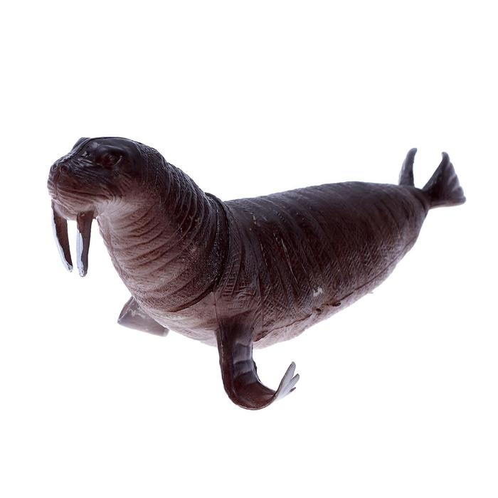 Набор морских животных &laquo;Четыре друга&raquo;, 4 штуки