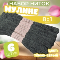 Набор ниток мулине №413, 8 &plusmn; 1 м, 6 шт, цвет тёмно-серый