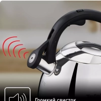 Чайник для плиты Duetto+ N4180110, 2.7 л, стальной