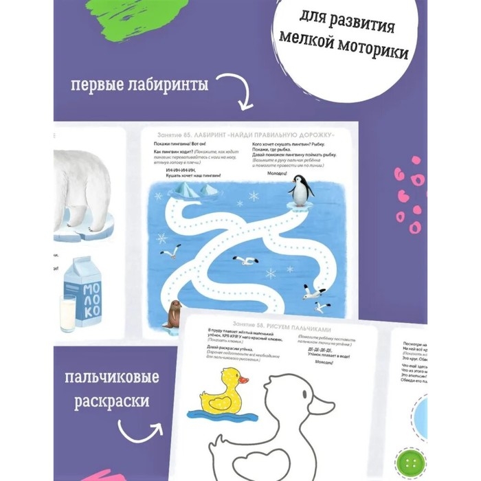 Альбом для развития мозга малыша. Писарева Е. Альбом для развития мозга малыша. Писарева Е.