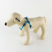 Комплект &laquo;Дай пять&raquo;, шлейка 26-39 см, поводок 120х1 см