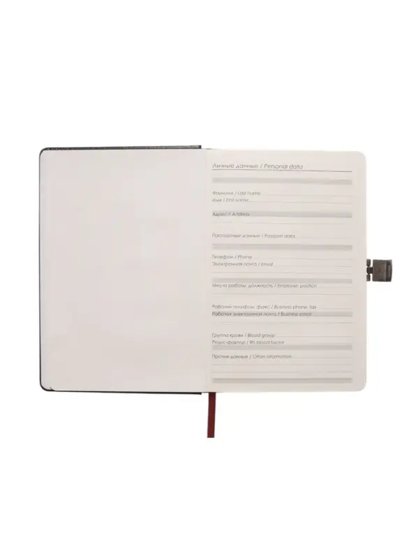 Ежедневник недатированный формат А5, с хлястиком, 80л, линия, пвх, Черный