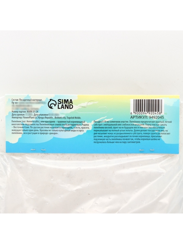 Лилейник Double Creamy Wonder, многолетник, корневище в пакете с торфогрунтом, р-р I, 1 шт.