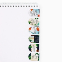 Закладки магнитные на подложке, 6 шт. &laquo;Лучшему учителю&raquo;