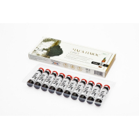 Эликсир &laquo;Эльзам. Чага плюс&raquo;, нормализация кишечной микрофлоры, 10 флаконов по 10 мл