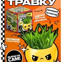 Набор для опытов &laquo;Выращиваем травку&raquo;