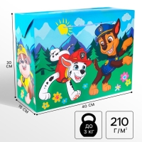 Пакет-коробка, 40 х 30 х 15 см, упаковка, Щенячий патруль Пакет-коробка, 40 х 30 х 15 см, упаковка, Щенячий патруль