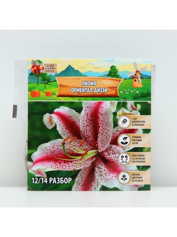 Лилия &laquo;Ориентал Диззи&raquo;, луковица в пакете с перфорацией, р-р 14/16, 2 шт.