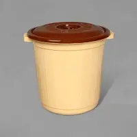 Бак пищевой с крышкой, 25 л, МИКС