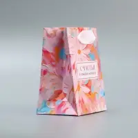 Пакет подарочный ламинированный, упаковка, &laquo;Счастья&raquo;, 9 х 12 х 6.5 см