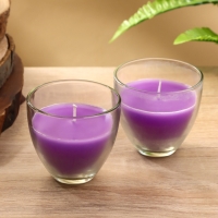 Набор свечей "SCENTED CANDLE" 100 гр, лавандовые поля