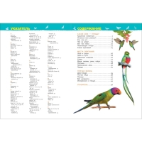 Энциклопедия для детского сада &laquo;Птицы&raquo;, Гальцева С. Н.