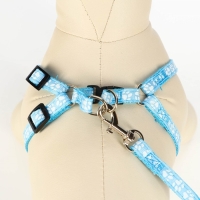 Комплект прошитый "Лапки", поводок 120 х 1 см, ОГ 23-35 см, голубой