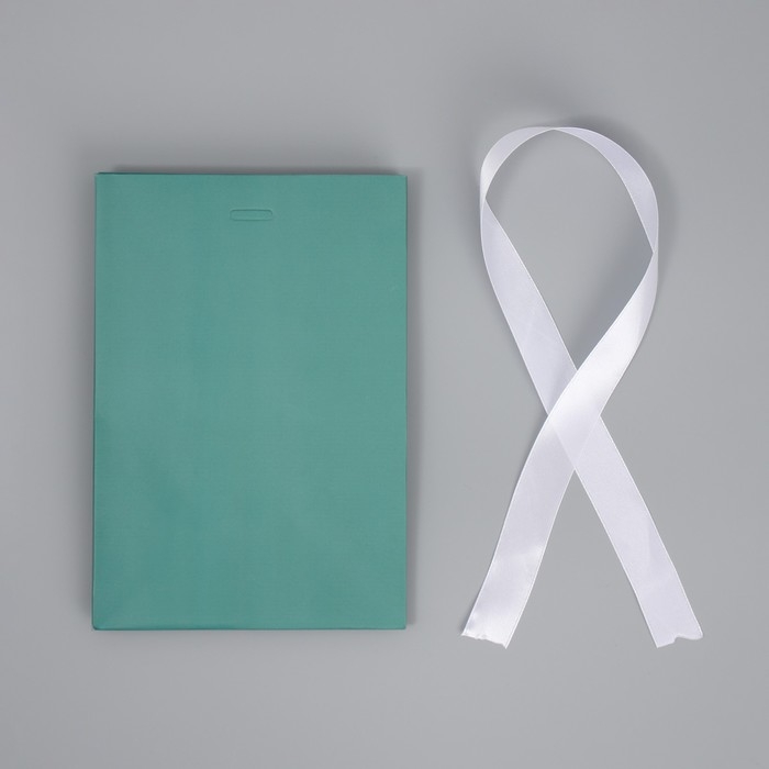 Пакет подарочный с лентой, упаковка, &laquo;Тиффани&raquo;, 13 х 19 х 9 см