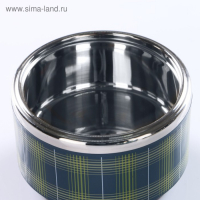 Ланч бокс с отделениями большие, контейнер для еды "Аланхе", 1.08 л, 2 уровня, сохраняет теп Ланч бокс с отделениями большие, контейнер для еды "Аланхе", 1.08 л, 2 уровня, сохраняет теп