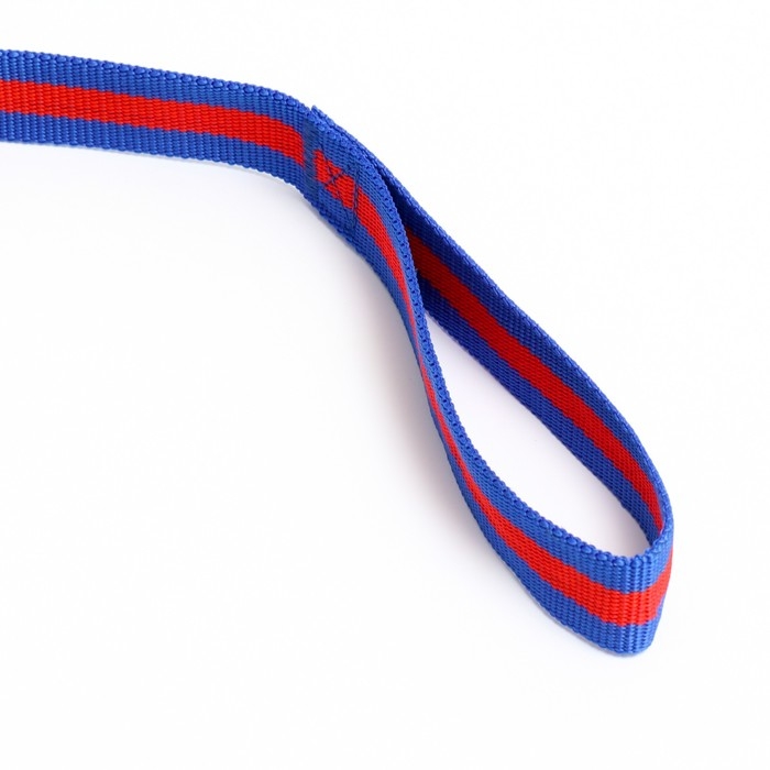 Поводок 3 м х 3 см, сине-красный