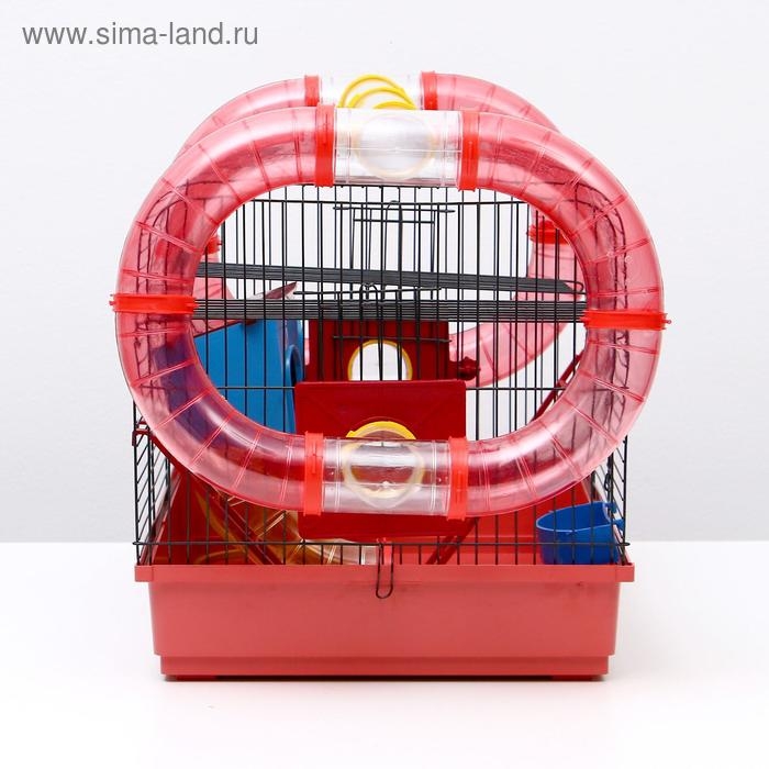 Клетка для грызунов Клетка для грызунов "Хома 4", 55 x 37 x 42 см, микс цветов