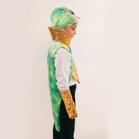 Карнавальный костюм детский &laquo;Новогодний змей&raquo;: жилетка, нагрудник, шапка, нарукавники, рост 116-128 см