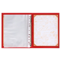 Папка школьная на кольцах &laquo;Портфолио школьника&raquo;, 13 листов-разделителей, 24,5 х 32 см.