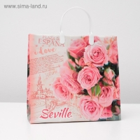Пакет "Севилья", мягкий пластик, 30х30 см, 150 мкм