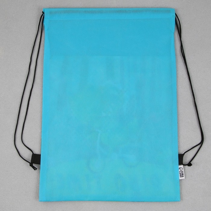 Мешок для обуви &laquo;1 сентября: Dinotime&raquo; нетканное полотно, размер 30 х 40 см